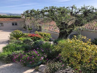 Villa Mougins Caratteristiche 37