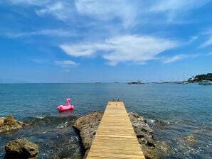 Holiday house Cap Antibes, Beachhouse Viking - Antibes - image1