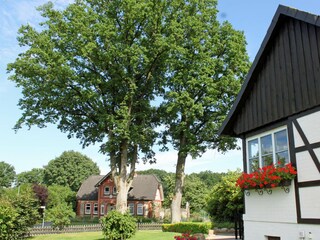 Großer eingezäunter Garten