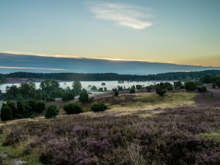 Naturschutzgebiet Lüneburger Heide