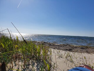 beach and dunes