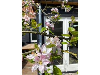 Casa per le vacanze Bergen (Holland) Registrazione all'aperto 3