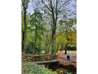 Casa per le vacanze Bergen (Holland) Ambiente 24