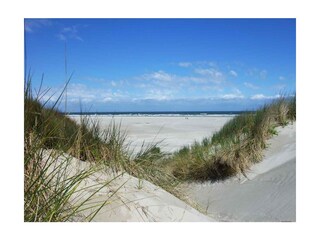 Casa per le vacanze Bergen (Holland) Ambiente 26