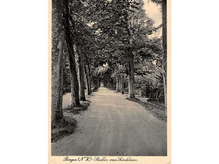 Casa per le vacanze Bergen (Holland) Ambiente 25