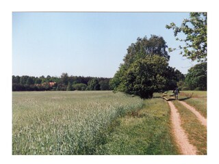 Ferienwohnung Rheinsberg Umgebung 15