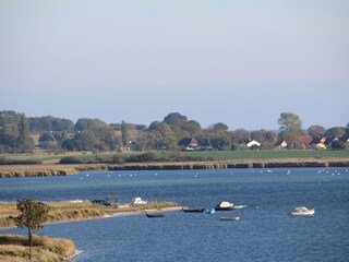 overlooking the water