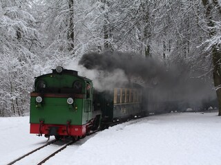 old train "Rasender Roland"