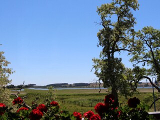 Blick auf den Bodden