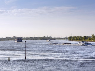 Rhein bei Rees
