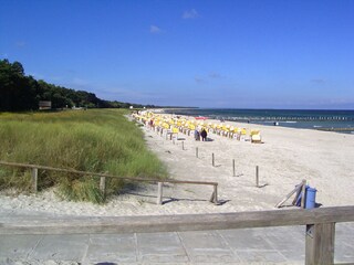 Holiday house Zingst Environment 28