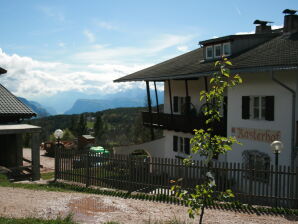 Ferienwohnung Urlaub bei Oma - Aldein - image1