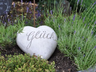 Appartamento per vacanze Geisa Ambiente 17