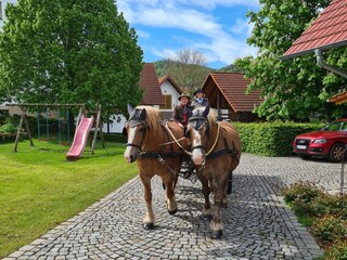 Appartamento per vacanze Geisa Ambiente 18