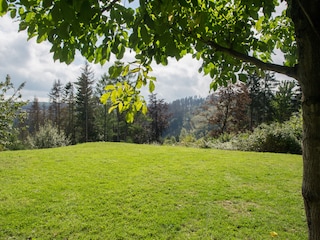 Garden view skislope