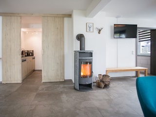 Glass fronted wood burning stove