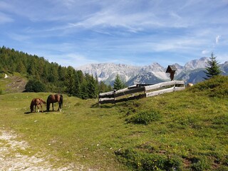 Appartamento per vacanze Leutasch Ambiente 27