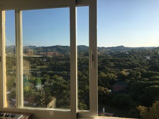 Blick aus dem Küchenfenster