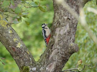 Appartamento per vacanze Lütjenholm Ambiente 34