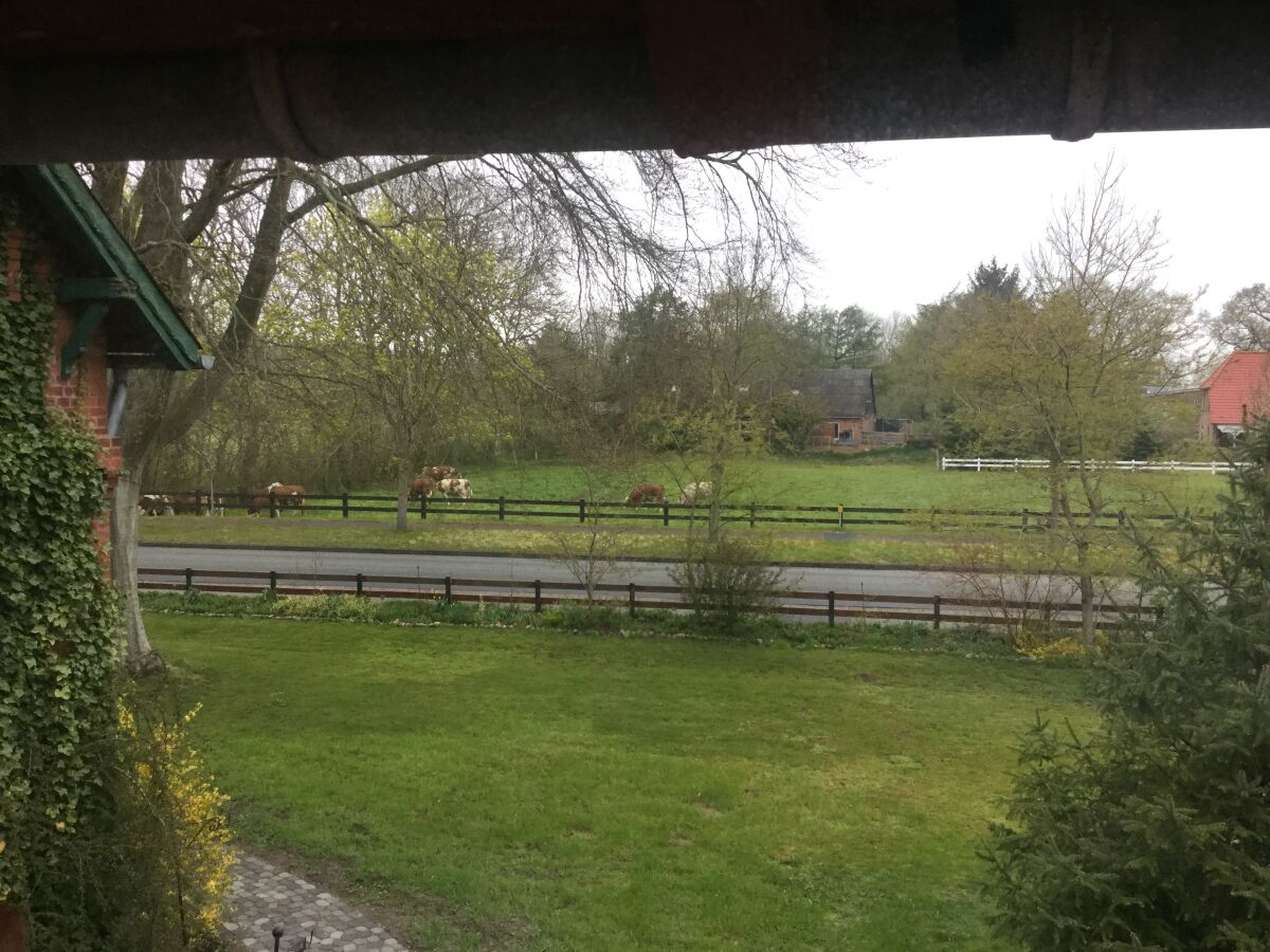 Ferienwohnung De ole Villa - Swalbennest, Lütjenholm, Firma "De ole