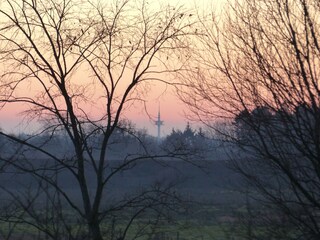 Appartamento per vacanze Lütjenholm Ambiente 39