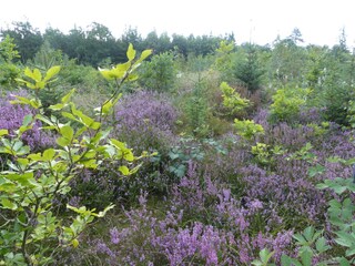 Appartamento per vacanze Lütjenholm Ambiente 37