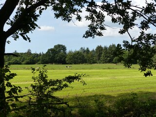 Appartamento per vacanze Lütjenholm Ambiente 38