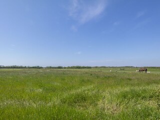 Casa per le vacanze De Koog Registrazione all'aperto 7