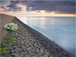 Casa per le vacanze De Koog Ambiente 21