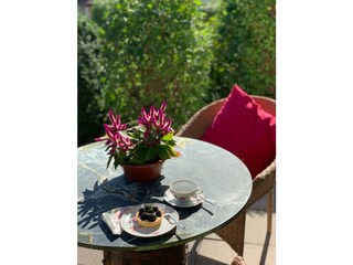 Quiet corner in the shared garden