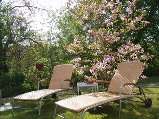 Entspannung im Garten (Gemeinschaftsbereich)