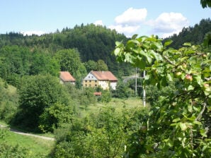 Ferienwohnung Dachsmühle - Immendingen - image1