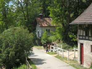 Ferienwohnung Dachsmühle - Immendingen - image1