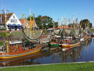 Ferienwohnung Greetsiel Umgebung 45