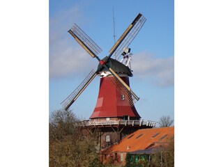 Ferienwohnung Greetsiel Umgebung 49