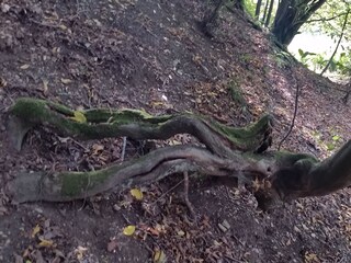 Casa per le vacanze Extertal Ambiente 16