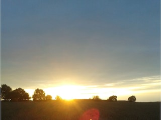 Maison de vacances Extertal Environnement 19