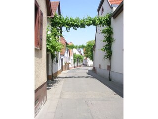 Im Dorf