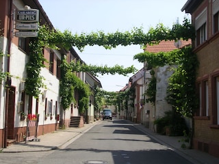 Dorfstraße