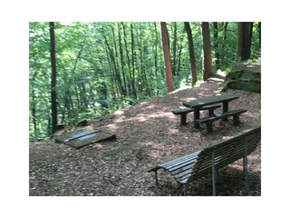 Waldspaziergang