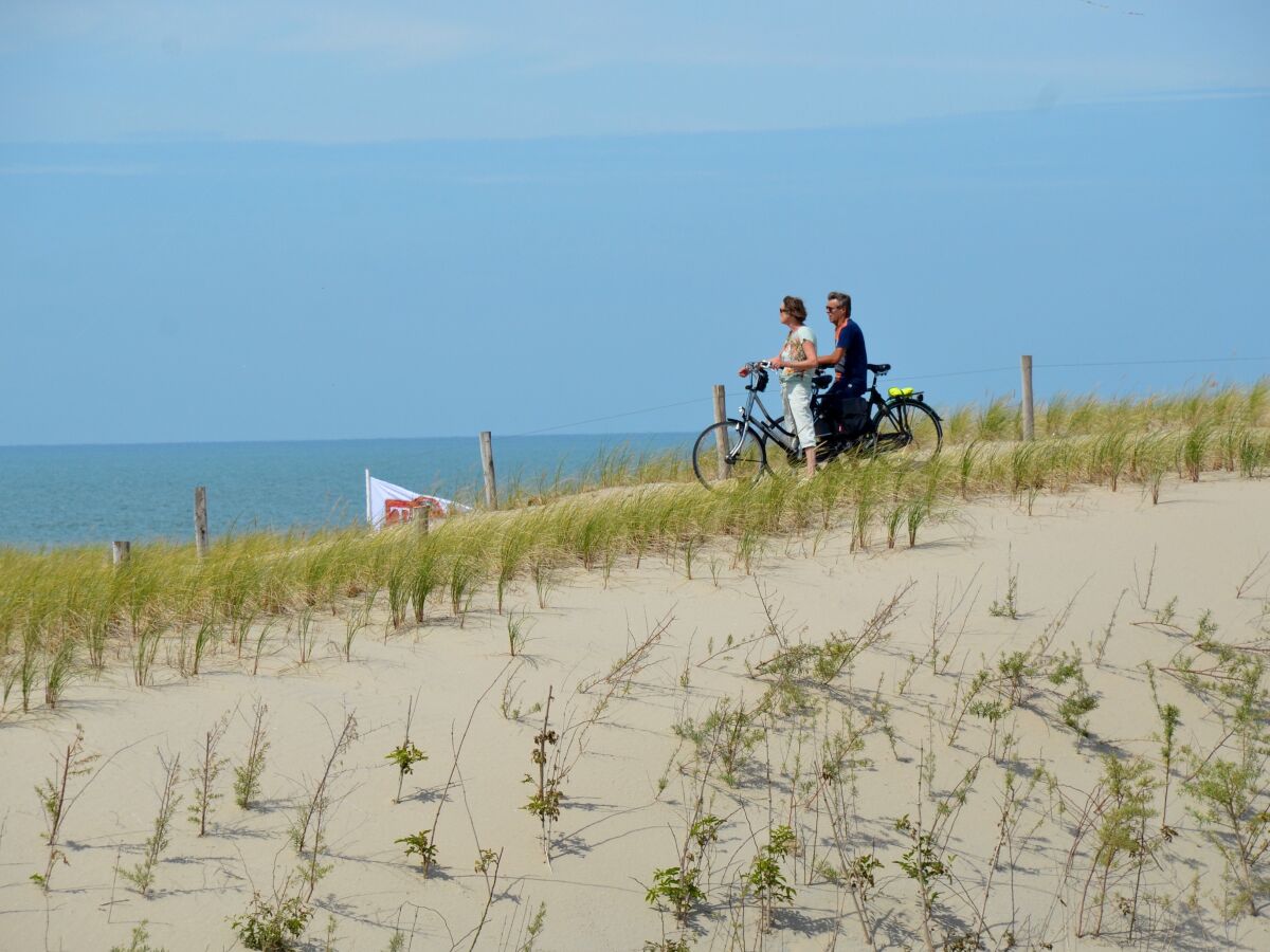 Strand Bergen aan Zee