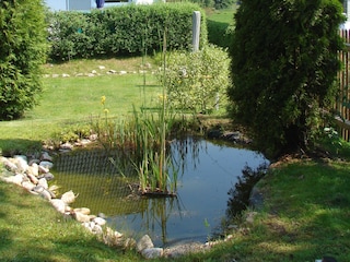 romantische Gartenteichidylle