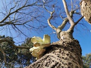 Appartamento Egmond aan Zee Ambiente 28