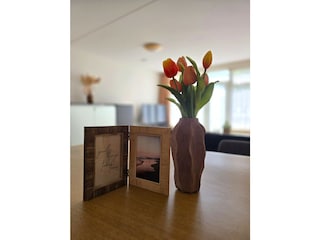 Apartment Noordzee