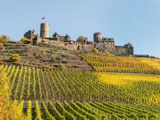 Burg Thurant in Alken an der Mosel