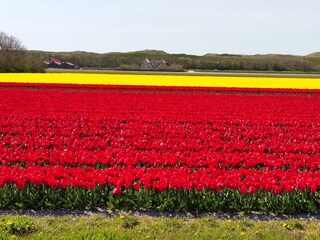 Vakantiehuis Julianadorp Omgeving 23