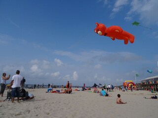 Maison de vacances Julianadorp Environnement 30