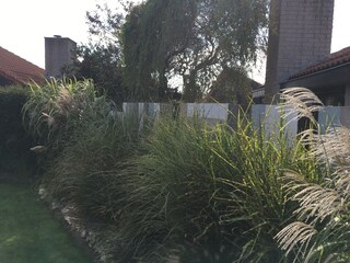 Maison de vacances Julianadorp Enregistrement extérieur 9