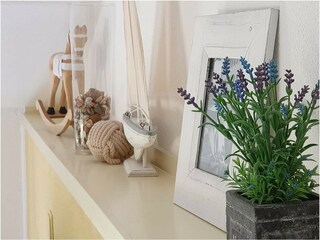 Vakantiehuis Julianadorp Kenmerken 12