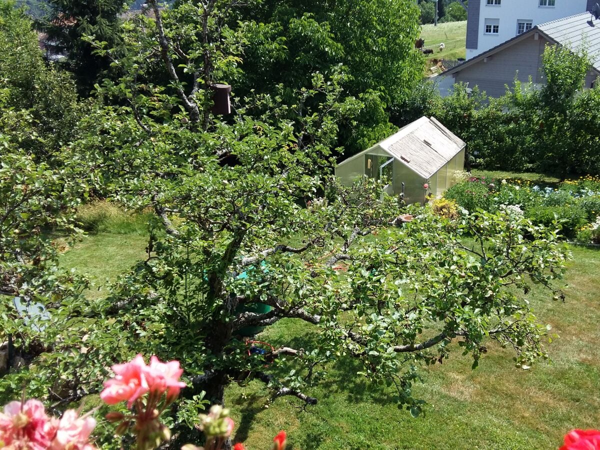 Ausblick vom Balkon